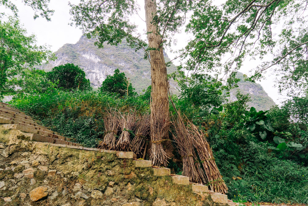 桂林旅游有没有租电瓶车的,桂林租电动车旅游