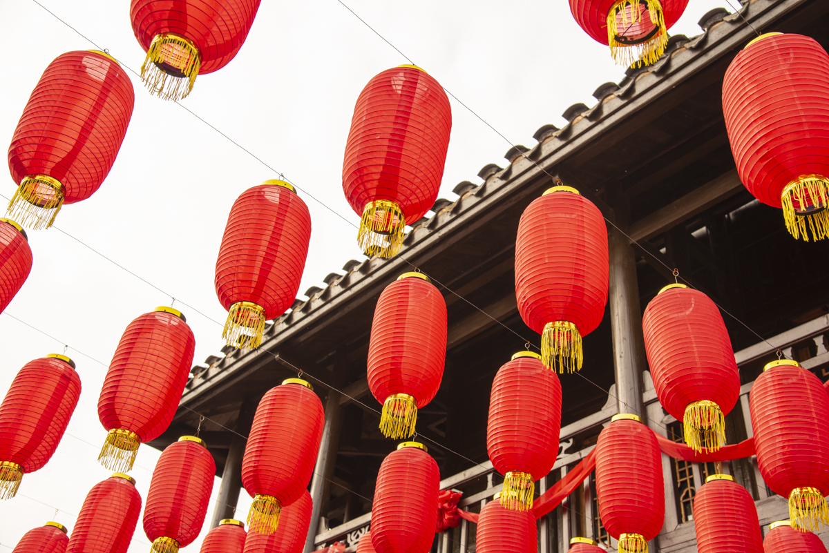 洋湖国家湿地公园,洋沙湖国家湿地公园马鞭草