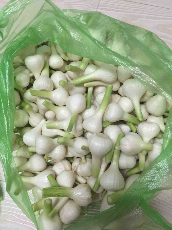 新蒜老了如何腌糖蒜,新蒜腌制糖醋蒜的简单做法