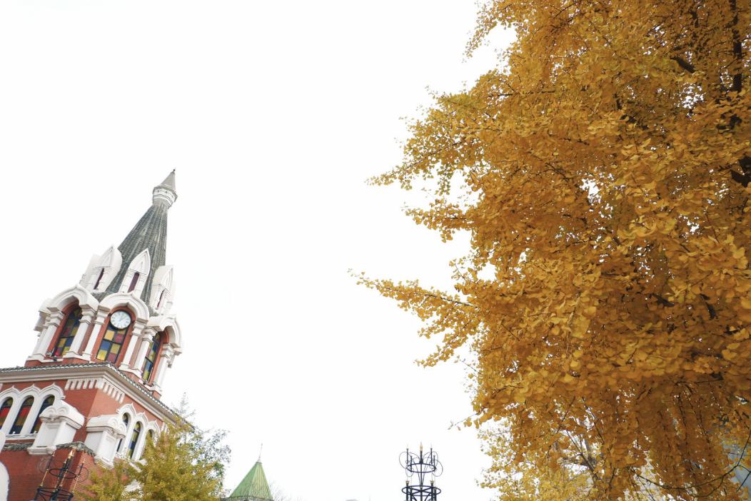 美过三亚!比厦门浪漫!中国这座海滨老城,去一次相当于环游世界