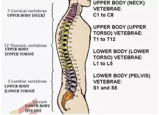 腰椎间盘突出坐骨神经痛如何缓解,腰椎间盘突出脚痛神经痛怎么缓解