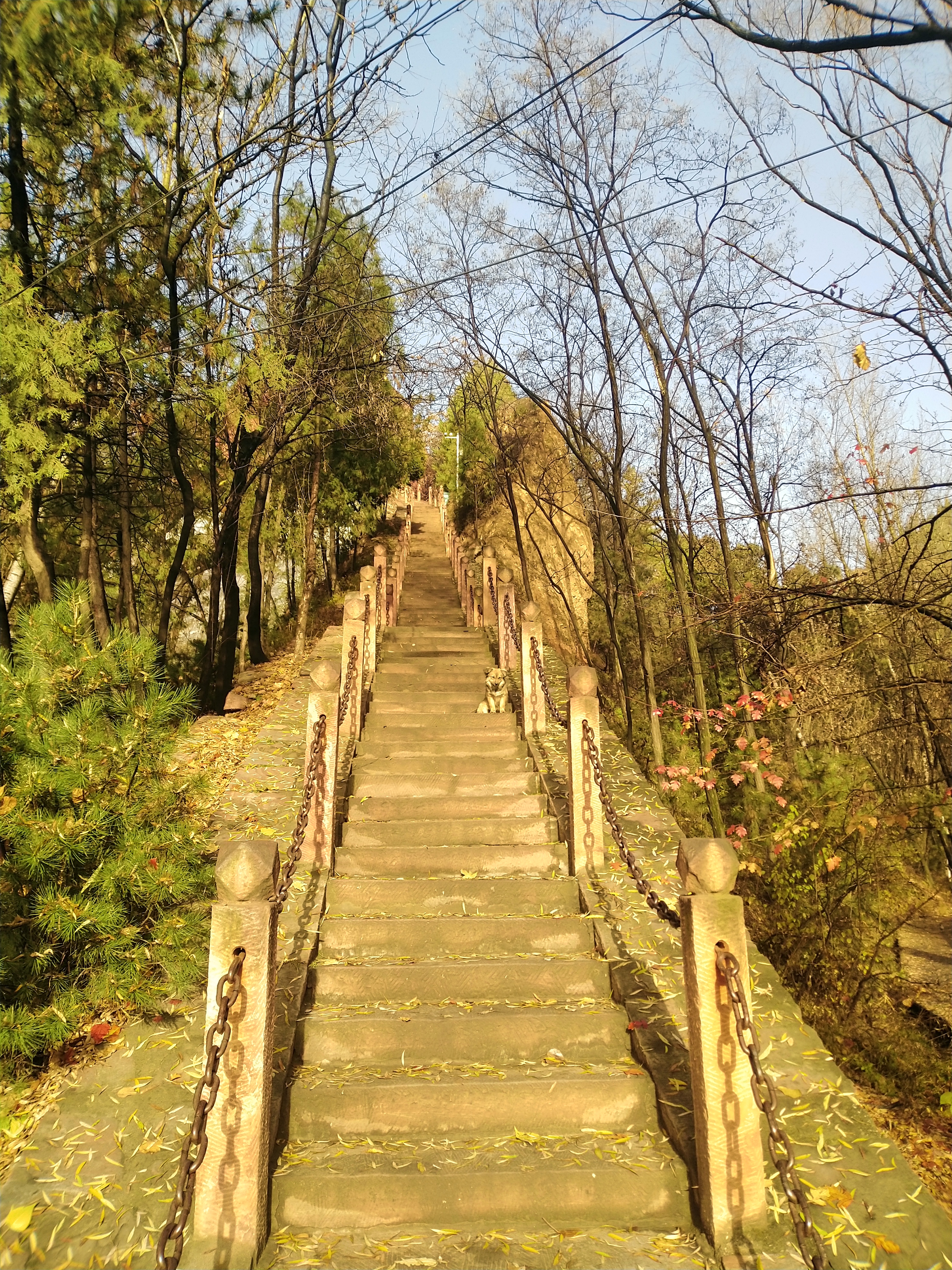 临汾有几个鼓楼,临汾有个大鼓楼