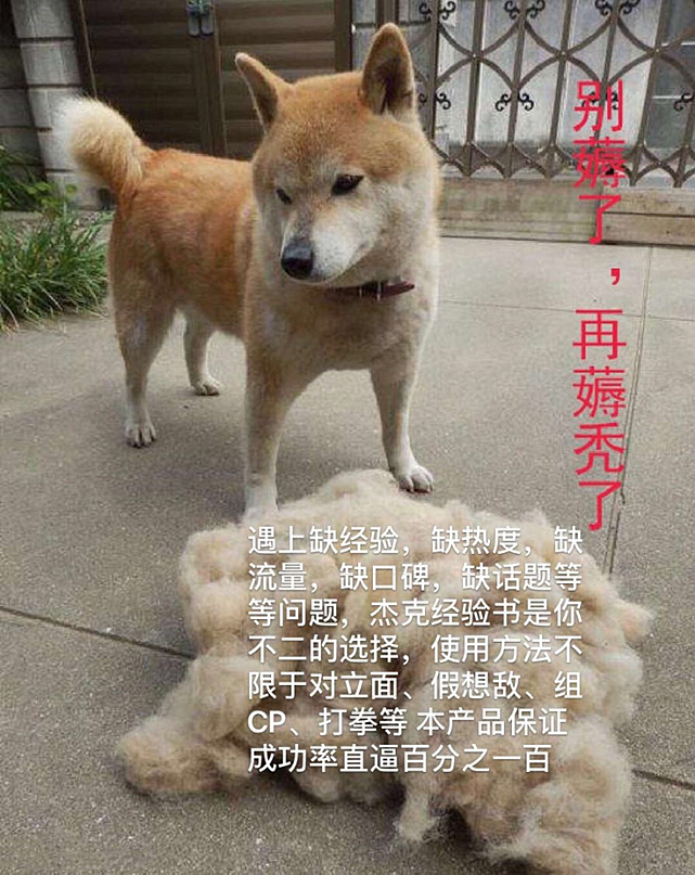 lpl辅助历年最佳阵容,lpl阵容最佳辅助