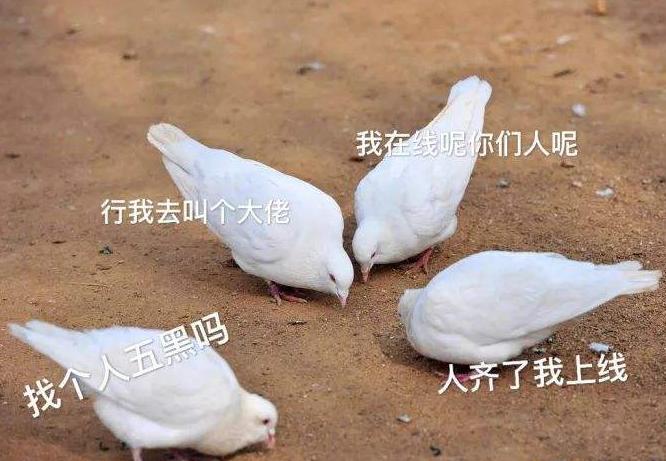 常在河边走哪有不湿鞋,玩游戏这么多年,你见过哪些有名的鸽子?