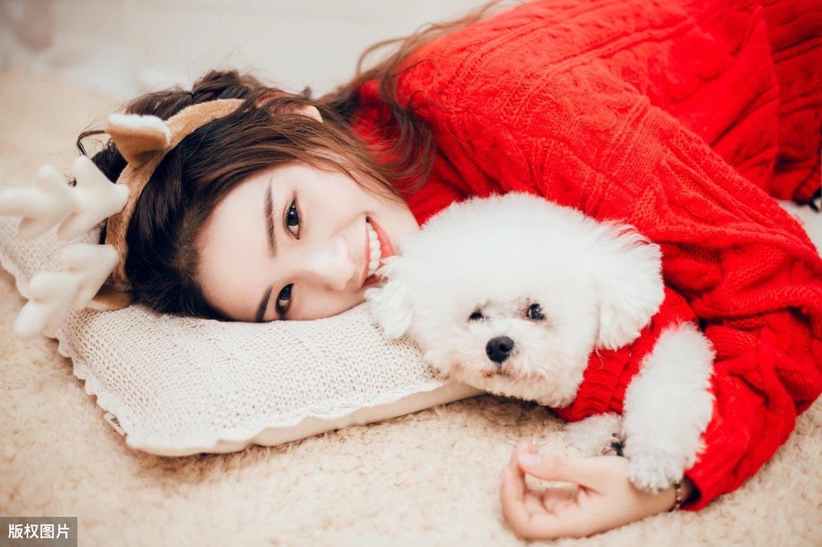 为什么都不建议养比熊狗,比熊不想养了怎么办