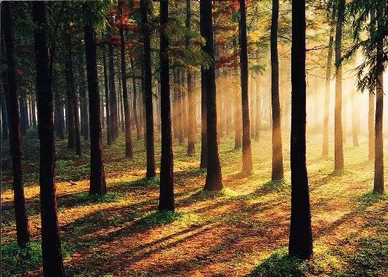 上海地铁附近景点推荐,上海地铁15号线沿线有哪些景点