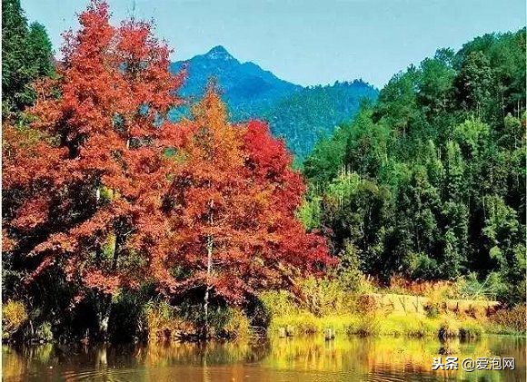 广东粤北最美公路,粤北最美的国道是哪条线