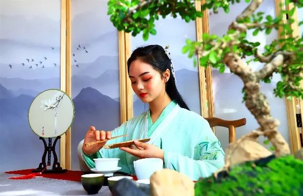 商鲲教育经营管理平台,商鲲教育培训