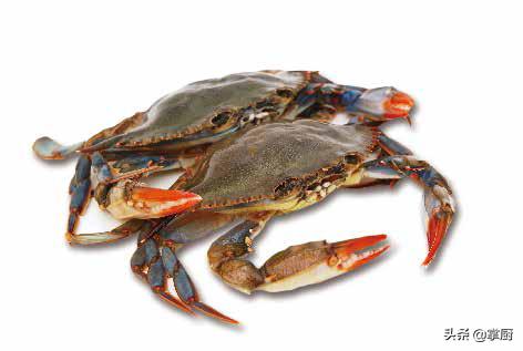 螃蟹在一年中什么时候肉质最鲜美,螃蟹的季节视频