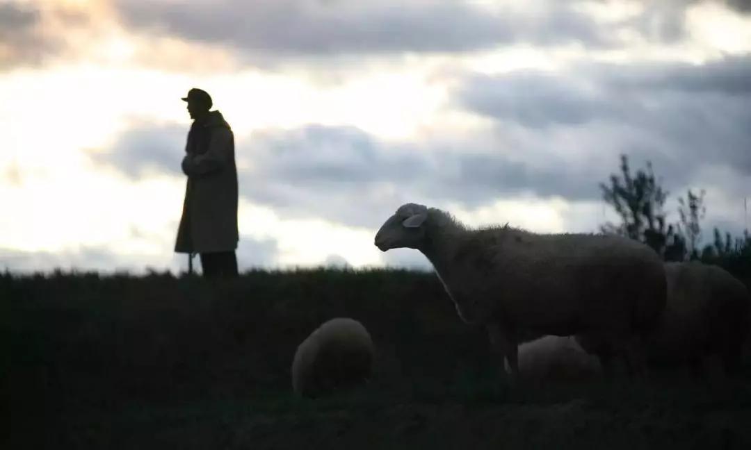 记住这50张面孔，不仅仅因为感动……