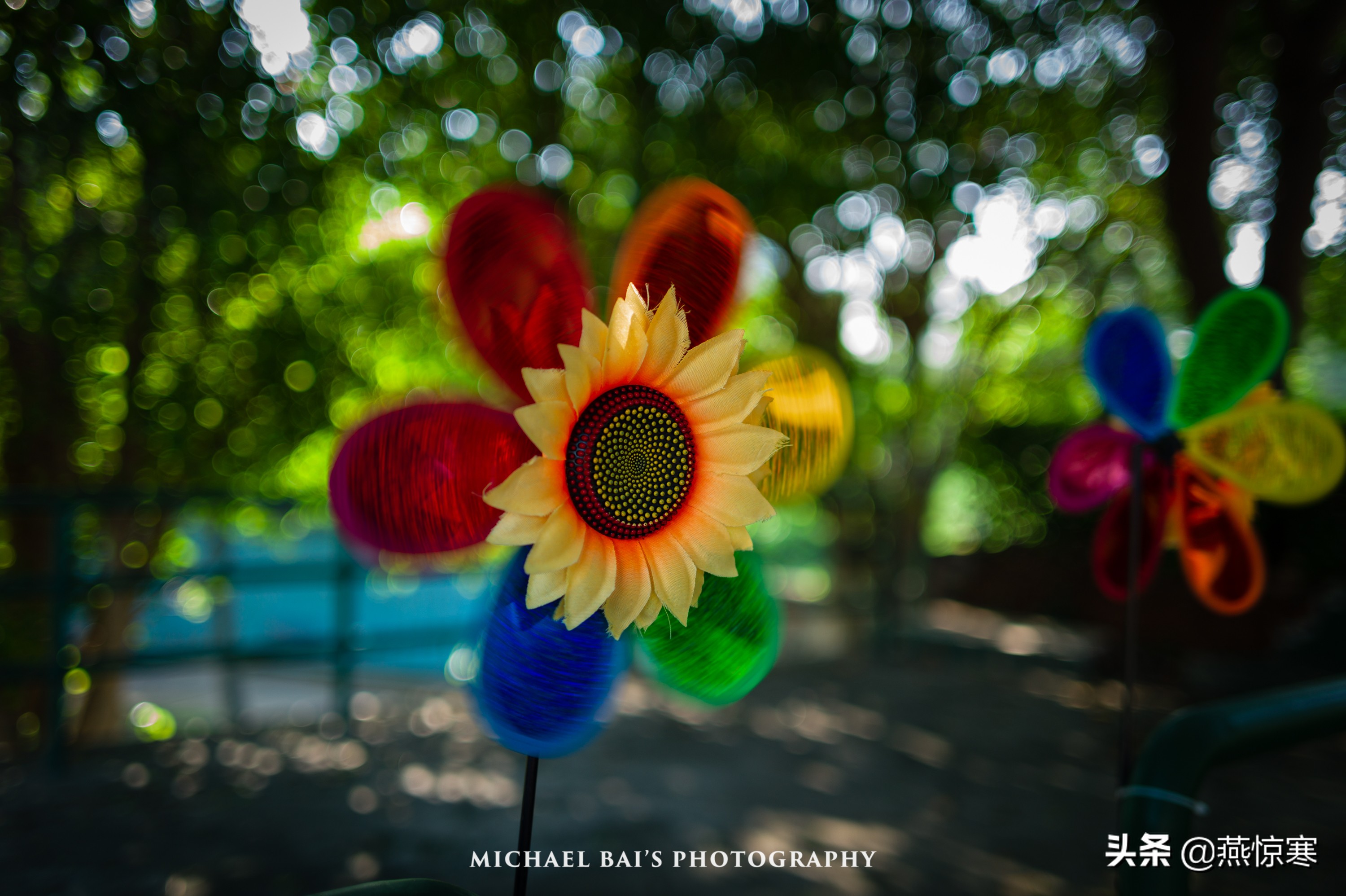 徕卡最值得玩的镜头,徕卡镜头351.4和501.4拍摄对比