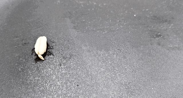 减肥坚持一个月暴瘦,减肥屡败屡战