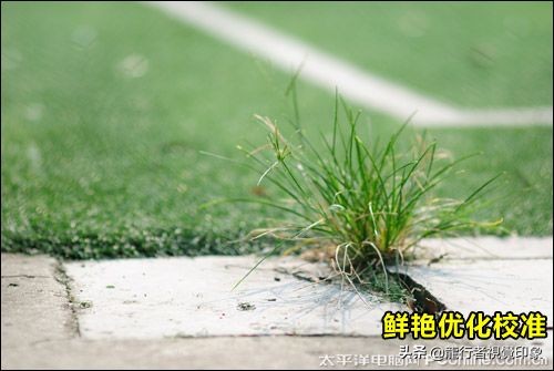 cameraraw曲线详解教程,鹏凰视界cameraraw系列教程