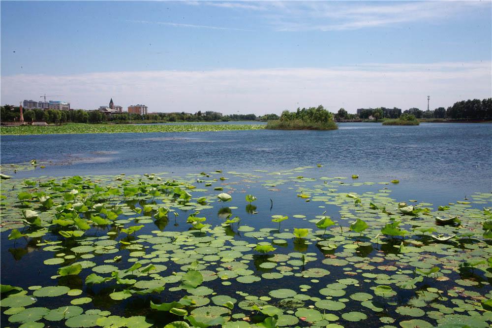 如果有一天我将老去英文歌,如果有一天我将老去女生版