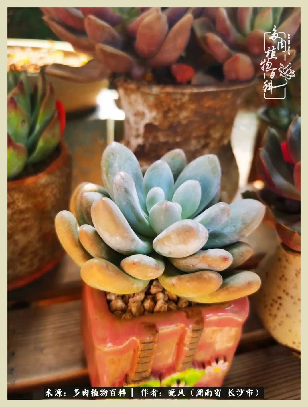 摇身一变成了奶爸,摇身一变成为打工人