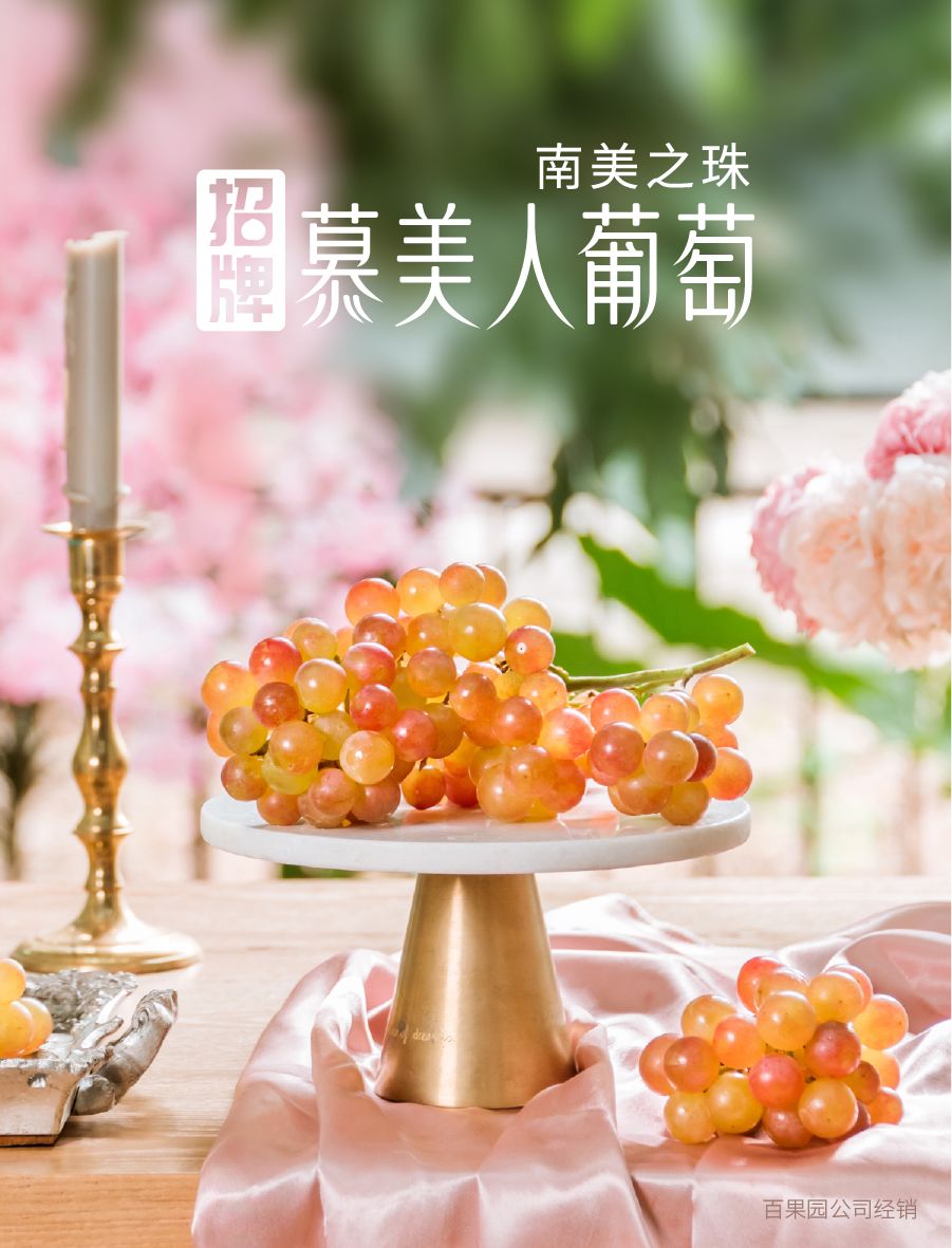 有玫瑰香气的葡萄,有玫瑰的香味的葡萄