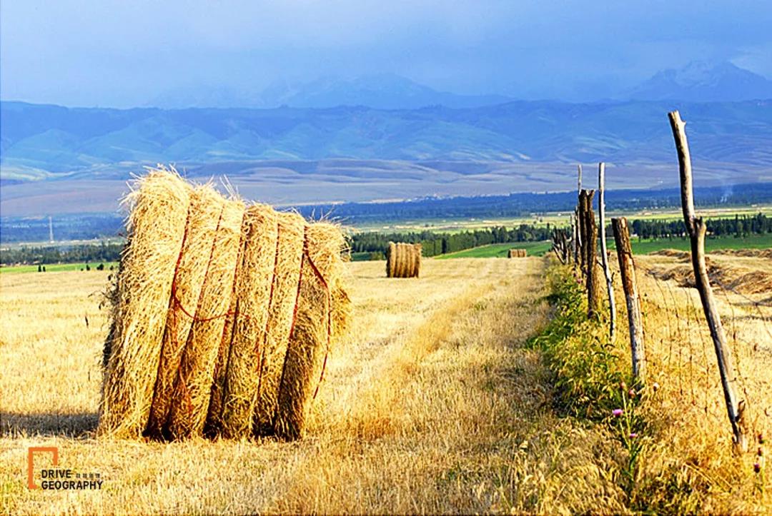 值得走一遭的网红公路,全疆最美的公路