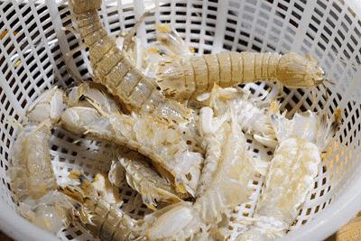 这就是天津话,这就是天津卫原版