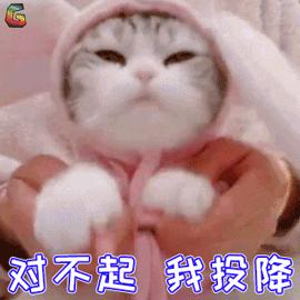 猫咪爱磨脚怎么回事,为啥猫咪爱挠沙发