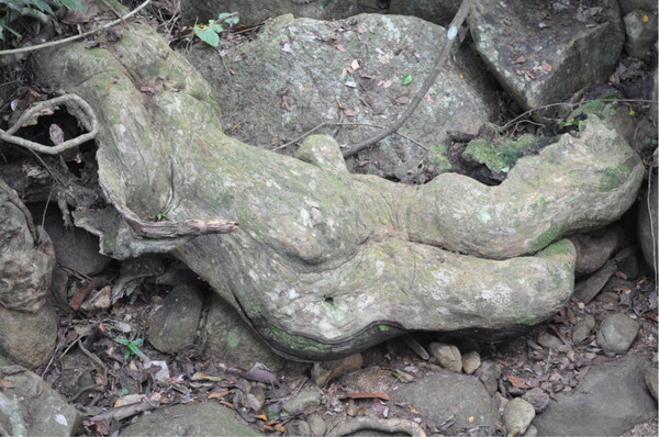 三亚自由行旅游攻略超详细哦,三亚旅游自由行全攻略