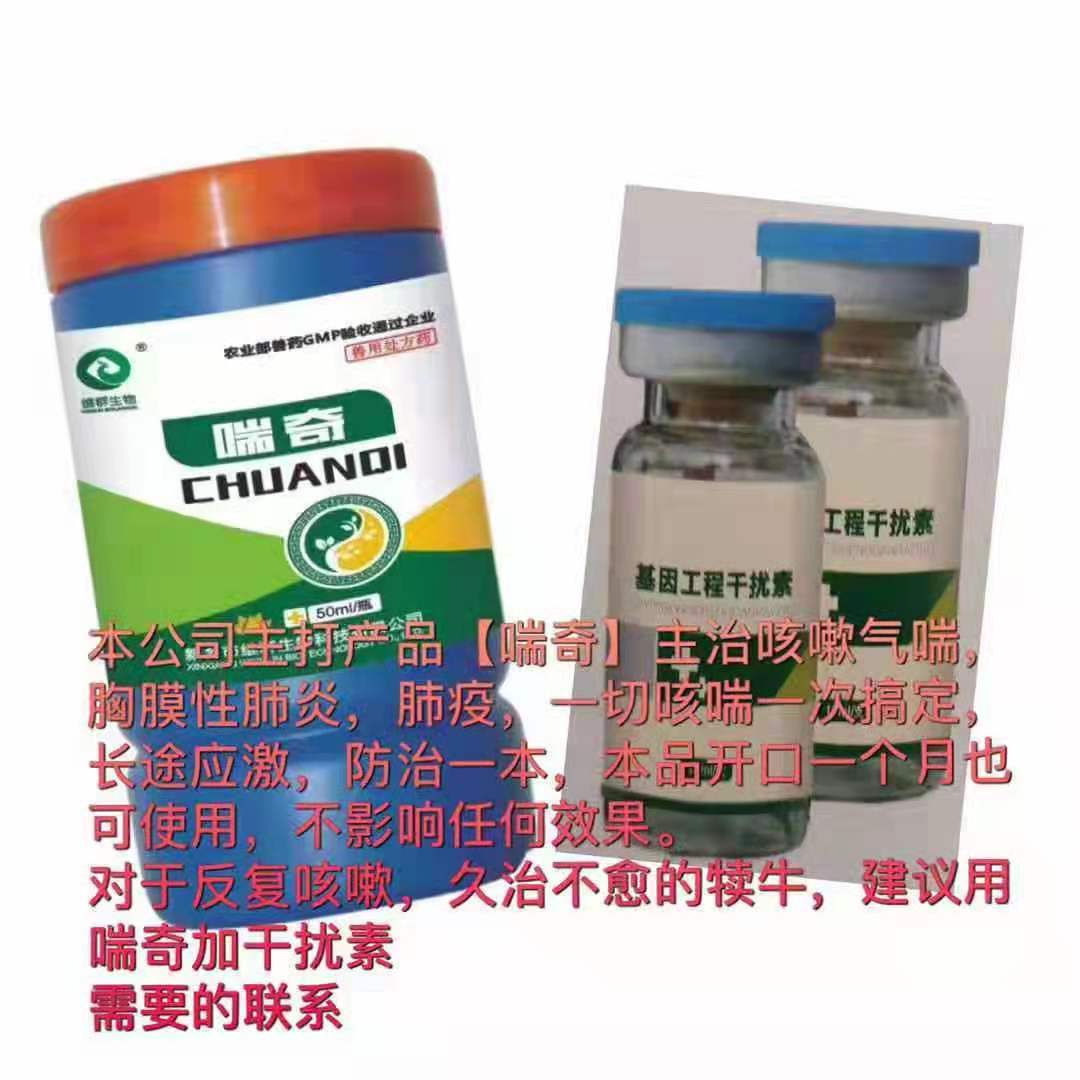 牛呼吸道的最佳治疗方法,牛羊呼吸道疾病预防用药