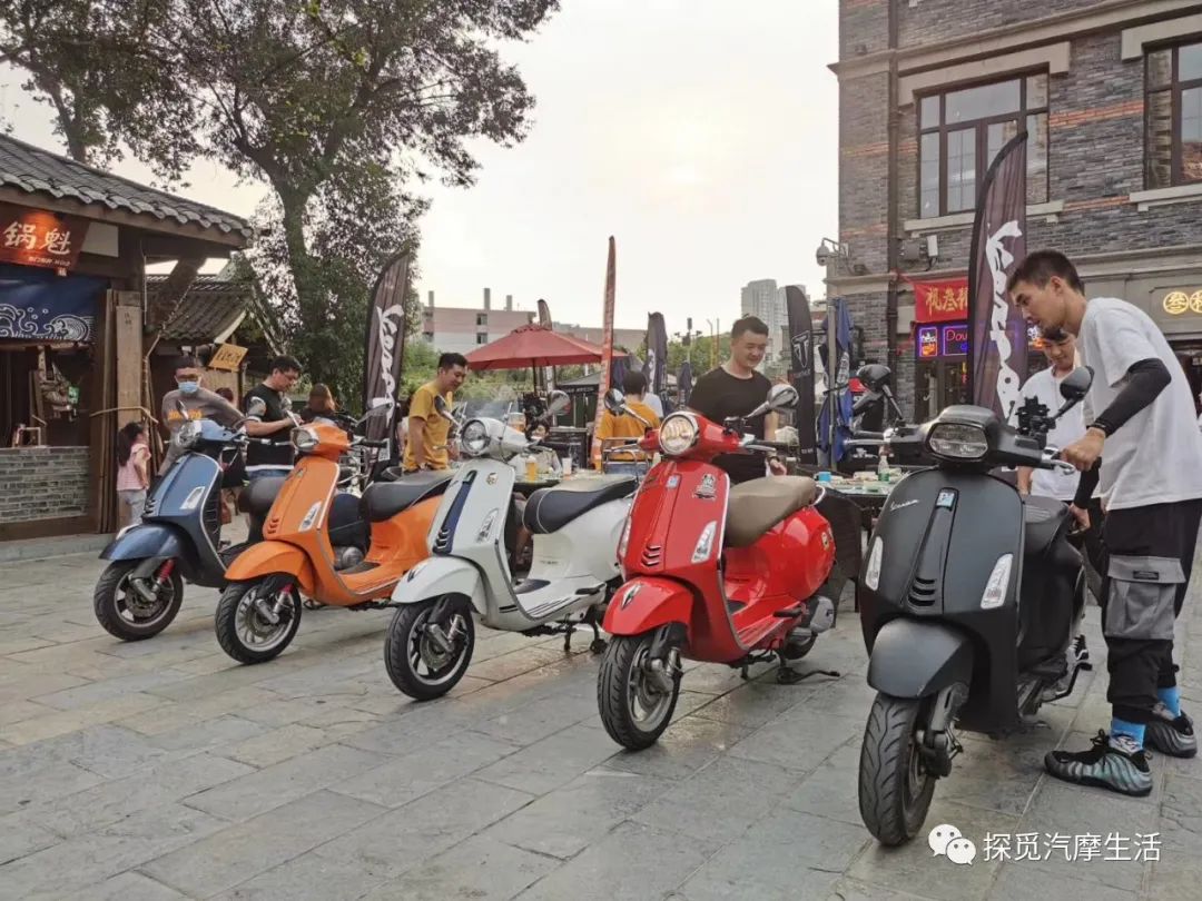 城市森林里的小精灵,森林中迷人的小精灵