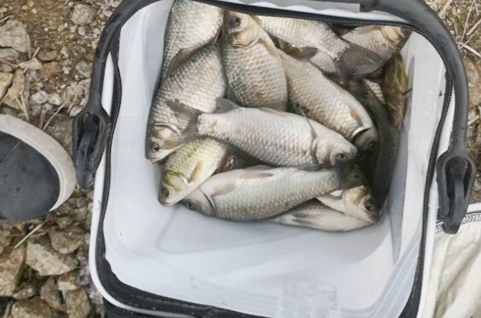 冬天钓鱼不吃饵怎么解决,鱼不吃饵料有什么办法