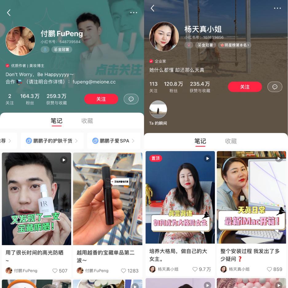 小红书做电商的劣势分析,做电商选择小红书还是淘宝