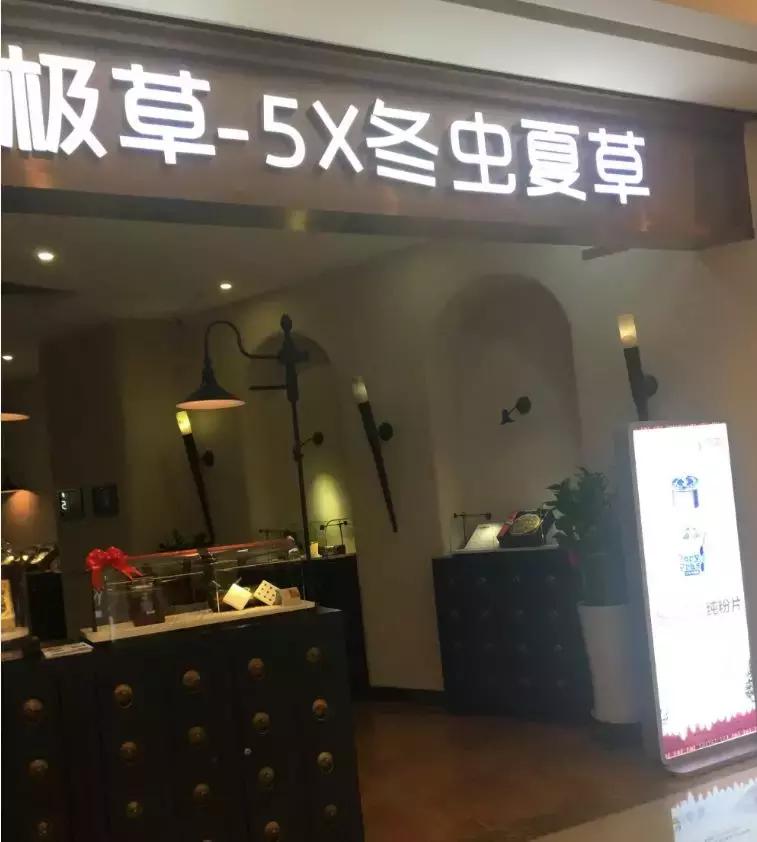 揭秘冬虫夏草一个200多年的骗局,冬虫夏草造假手段