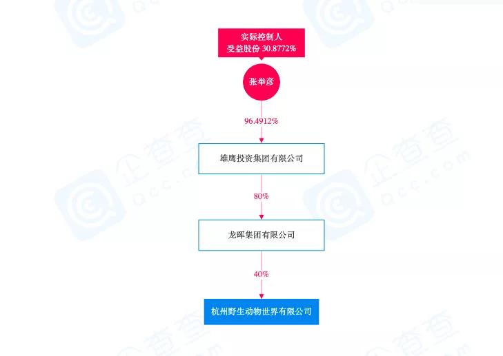 “瞒豹”动物园的股东:投资地产被执行,瞄上“灵丹妙药”犀牛角