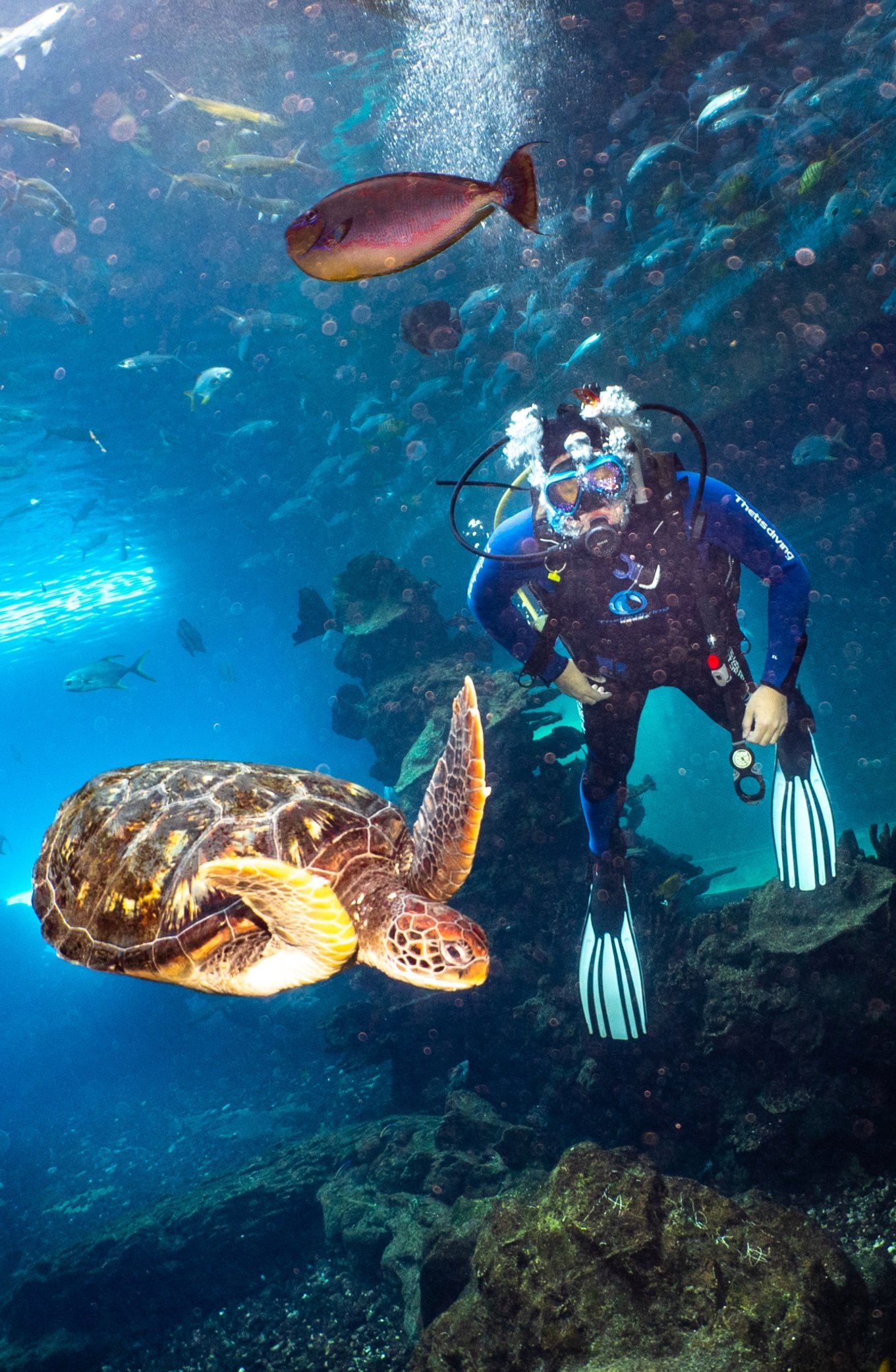 三亚学潜水机构推荐,三亚学潜水哪个最专业