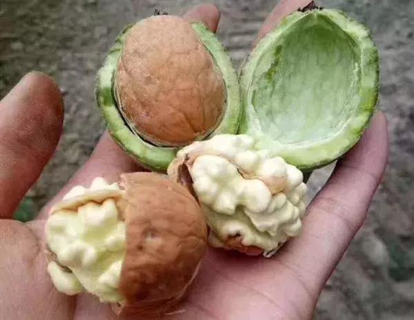 NO.874：阿克苏这个公司月工资5000元以上，看看你合不合适？