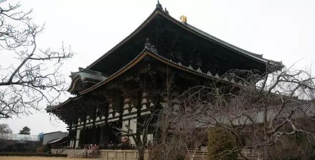 古城观世界,古城看平遥