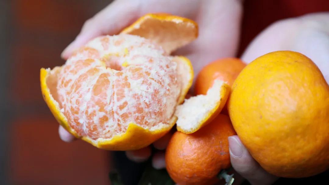 华大学生街藏了10年的古厝餐厅，吃一口都是外婆家味道