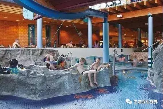 用一颗草莓吸引5百万游客,开5家主题乐园、4家超市、300个草莓屋