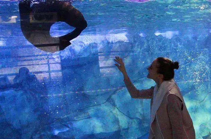 临沂极地海洋世界五一特惠,临沂极地海洋世界门票多少钱