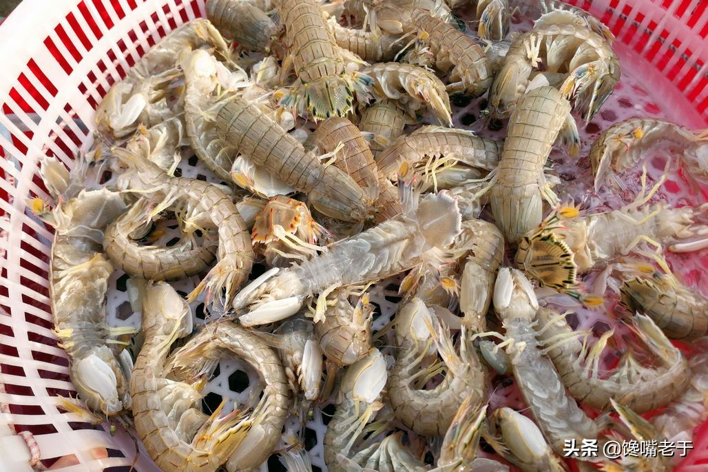 买海鲜必知道的事情,买海鲜需要掌握哪些知识