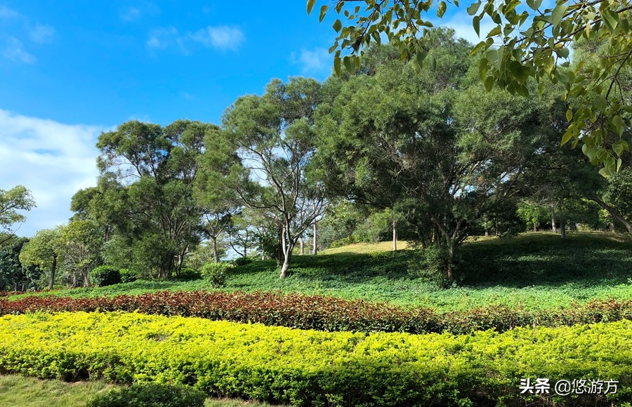 厦门海悦山庄酒店平面图,厦门海悦山庄旅游详解