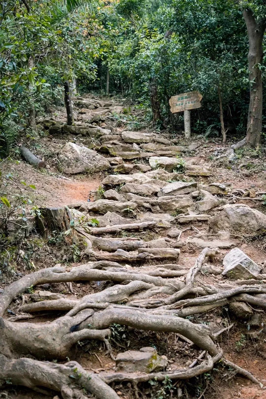 深圳值得去的地标,深圳值得去的景点排行榜