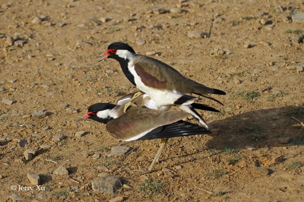 情人节适合干什么事,情人节对方做过最让你感动的事