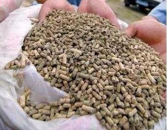 猪霉菌中毒有什么症状怎么治疗,猪霉菌毒素中毒的特点是什么