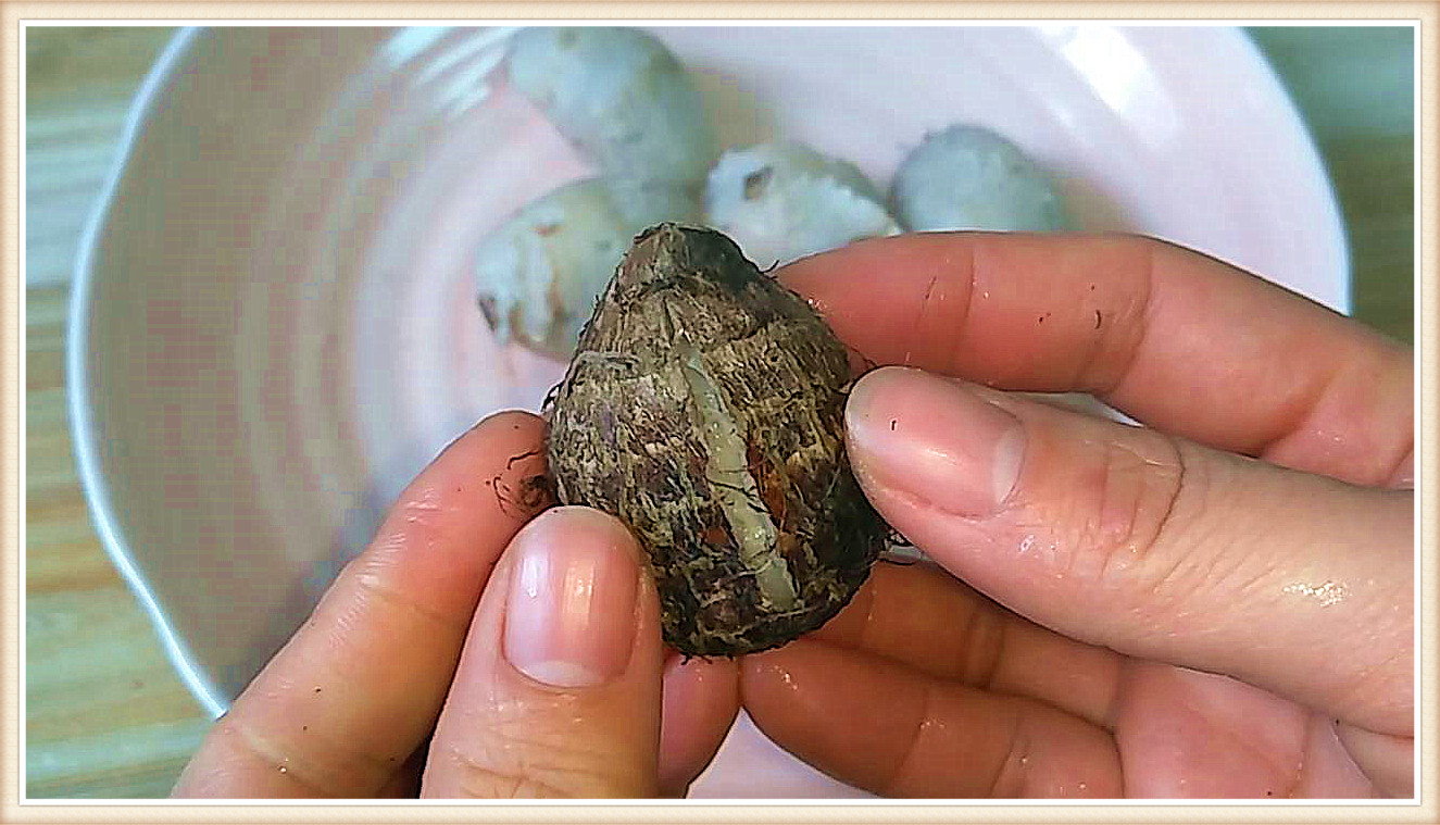 香芋怎么剥皮最快最好,香芋剥皮后手痒怎么办