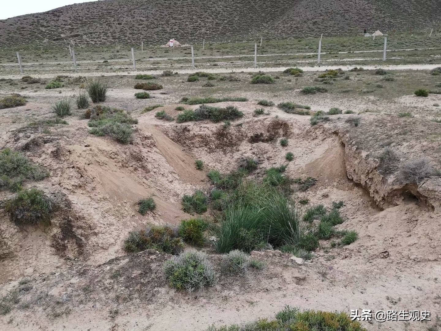 培黎学校是干什么的,培黎学校怎样