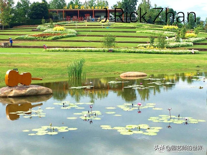 高尔夫果岭草坪家庭院子种植,麦冬草坪种植方法和注意事项