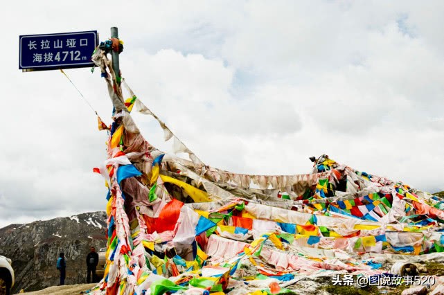 “疯狂”虫草一根卖到30元，中国最大虫草地，5月开挖孩子放假
