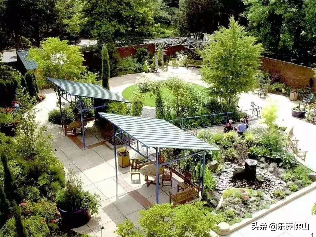 简易园艺疗法,园艺治愈心灵