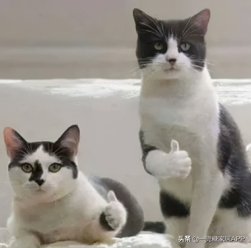 闲鱼上很多新品比拼多多还便宜,闲鱼比拼多多便宜