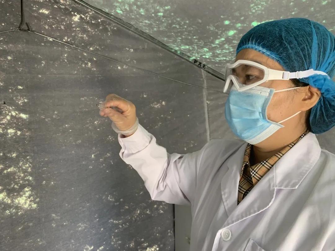 神兽即将归笼盘点暑假,神兽即将归笼各位家长准备好了吗