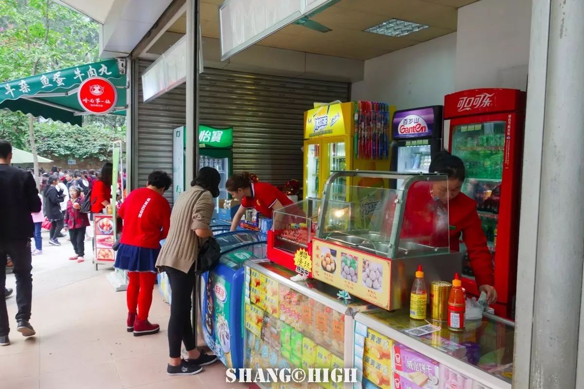 记者探访广州动物园,动物园观察动物