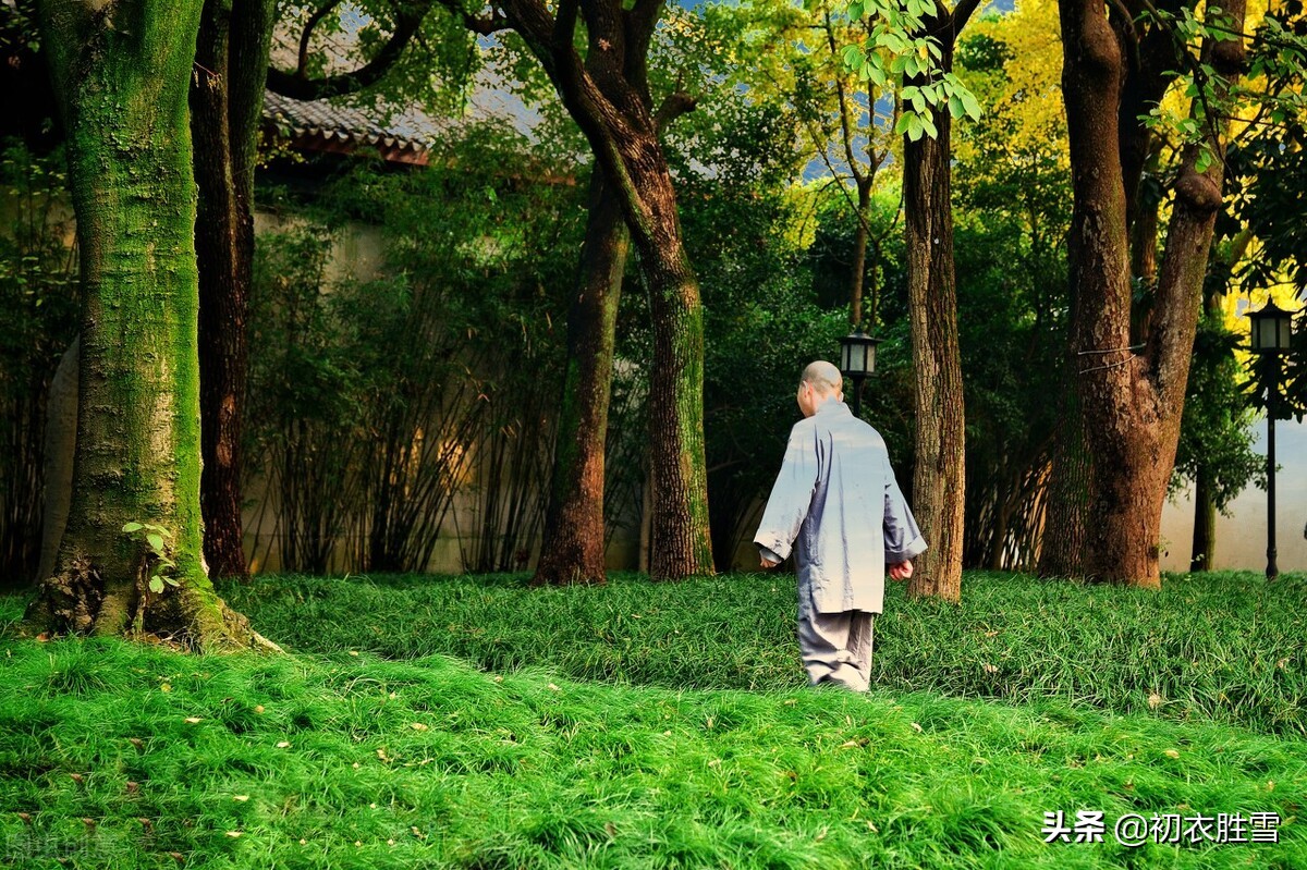 白居易古诗夏,白居易夏日绝句